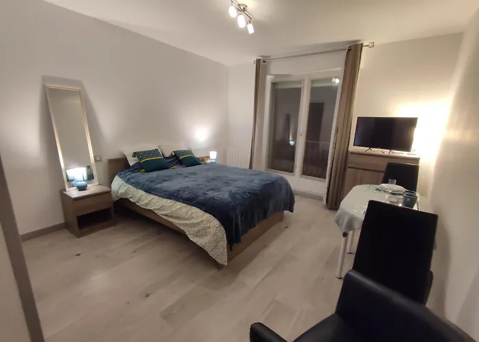Studio Cosy La Dacquoise Centre-Ville Internet Haut-Debit